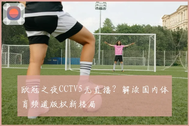 欧冠之夜CCTV5无直播？解读国内体育频道版权新格局